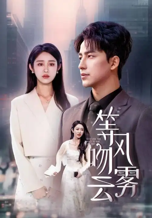 闪婚总裁的逆袭账本剧照